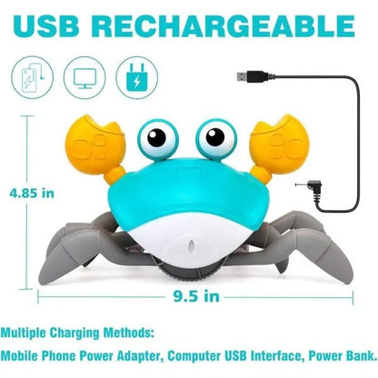 Baby Musical Crawl Crab - BEBE