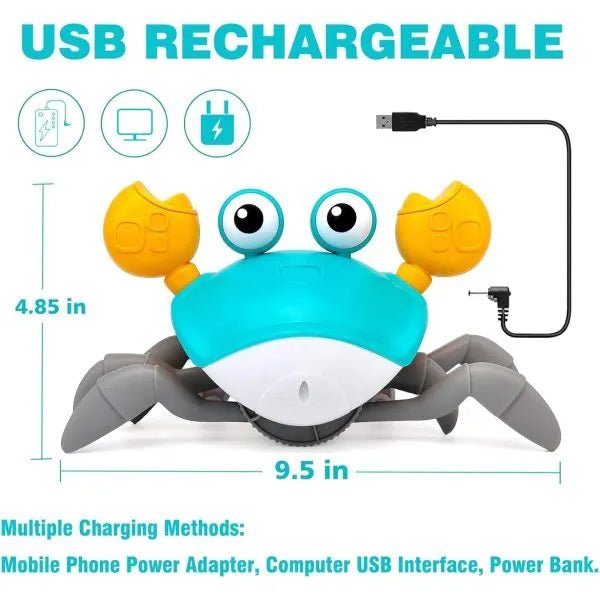 Baby Musical Crawl Crab - BEBE