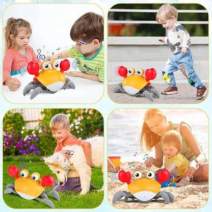 Baby Musical Crawl Crab - BEBE